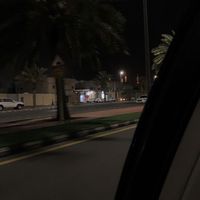 thelegendarykingoflions