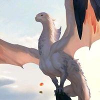 web__dragon