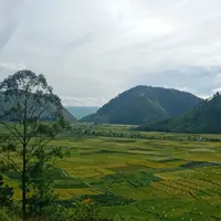 original sound - lamriaolshop