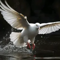 original sound - alabanzas59