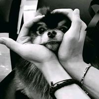 kookie_01_9_1997
