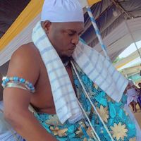 manfol380