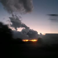 the_roach_in_ur_basement