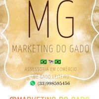 marketingdogado08