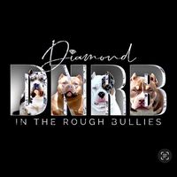 diamondntheroughbullies