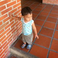 daiton_jr29
