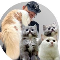 suara asli - Cleosimanja