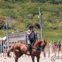 andre_vaqueiro33