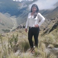irmavioletasilval