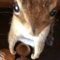 Runnin X Moonlight on the River