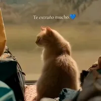 original sound - michigriss