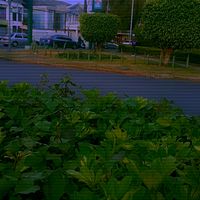 manueljovencristiano