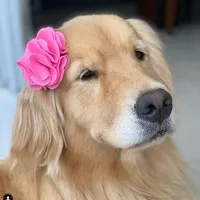 original sound - taldoprince00