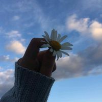 queen_cuud88