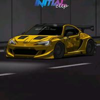 brzphonkydrift57