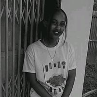 meti3398