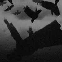 original sound - pfelipi