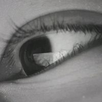 zhhh_kaa