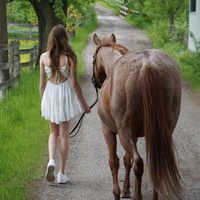 stella_eq09