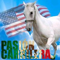 pasioncarrilera