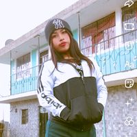 vanessagrefacerda3