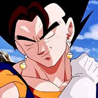 fw_ssj