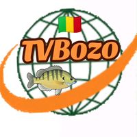 madousewa2tvbozo1