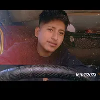 original sound - hubercithopoe