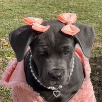 stormyyyyygirl