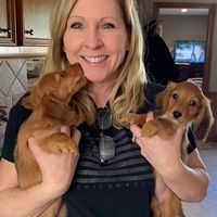 grace.line.dachshund.0
