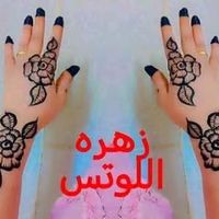 user5943102435255