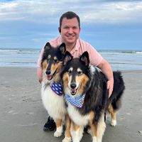 colliefather