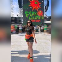 vanee.vim