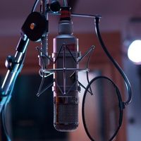 suara asli - Frekuensimusik.id