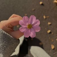 babyflorah01