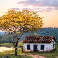 nostalgia.sem.limites