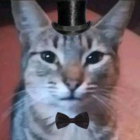 misterdictador