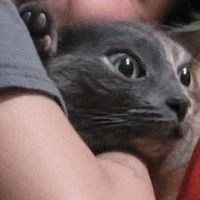 6f1v3_star_michelin9