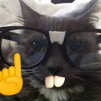 original sound - Ian zhang