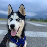 Dejar todo y viajar por el mundo