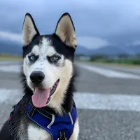 Yo JAMÁS TE ABANDONARÍA