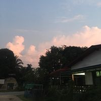 เสียงต้นฉบับ - นักสะสมความเศร้า