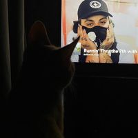 оригінальний звук