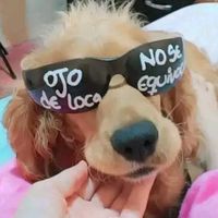 lavidaes_dura