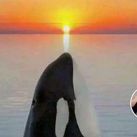 your_fav_btslover_katie