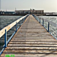 torres_bibi