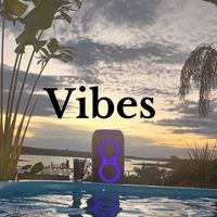 vibess8049