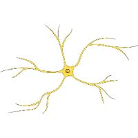 original sound - EfectoOxitocina