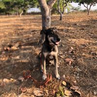 equipe_corre_pouco01