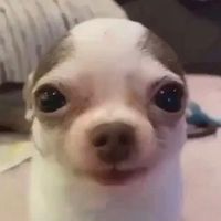 Use me if you like the same gender